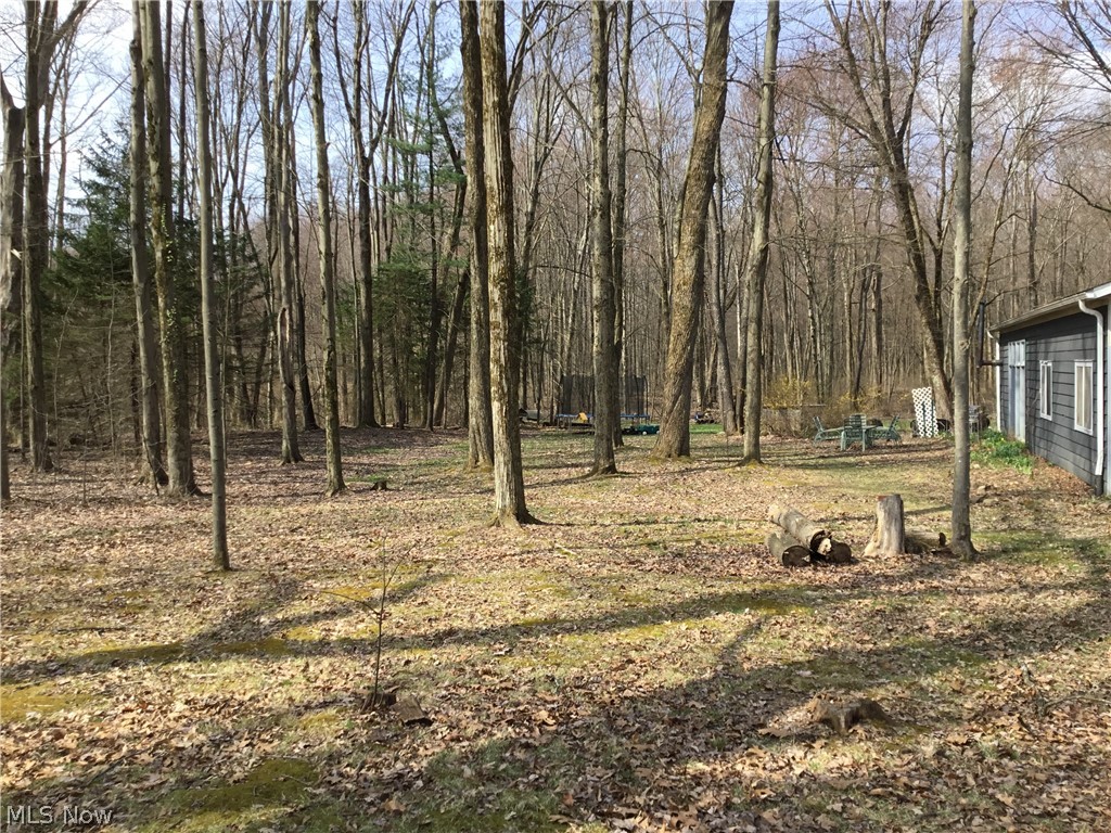 11777 Abbott Road Hiram OH 44234