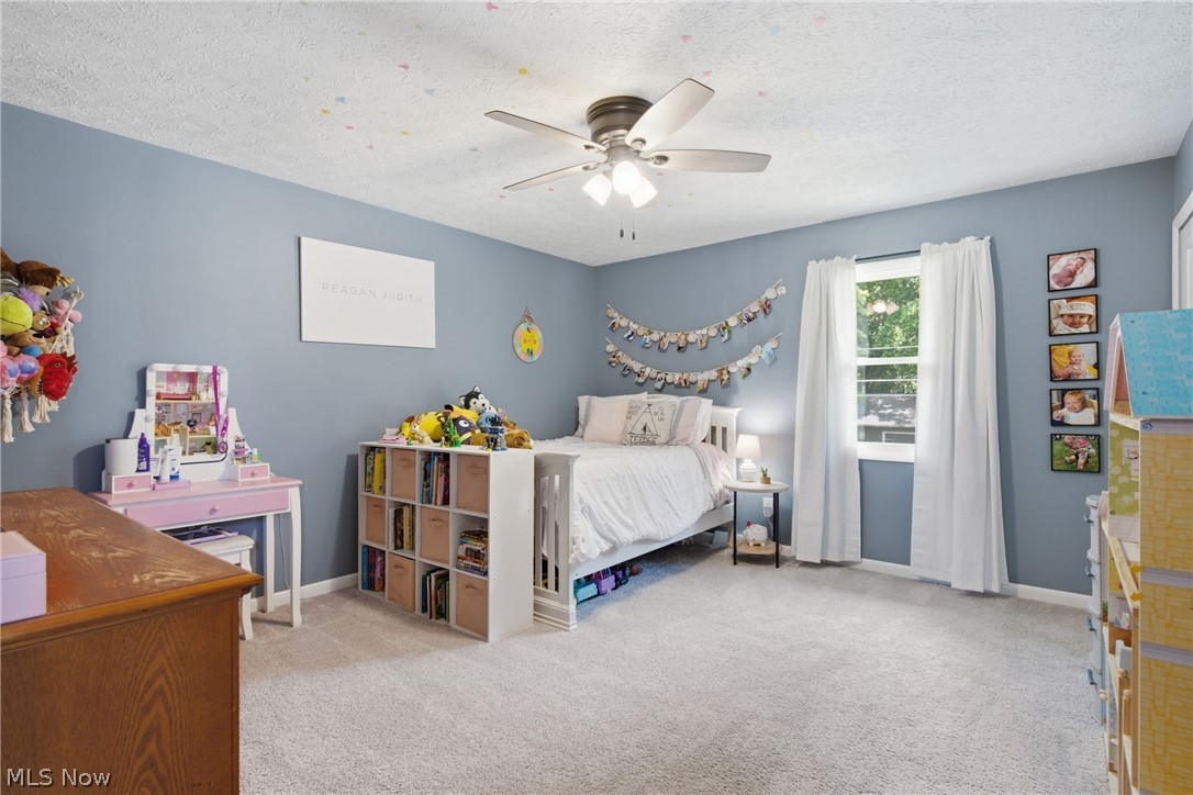 6187 Magnolia Drive Mentor OH 44060
