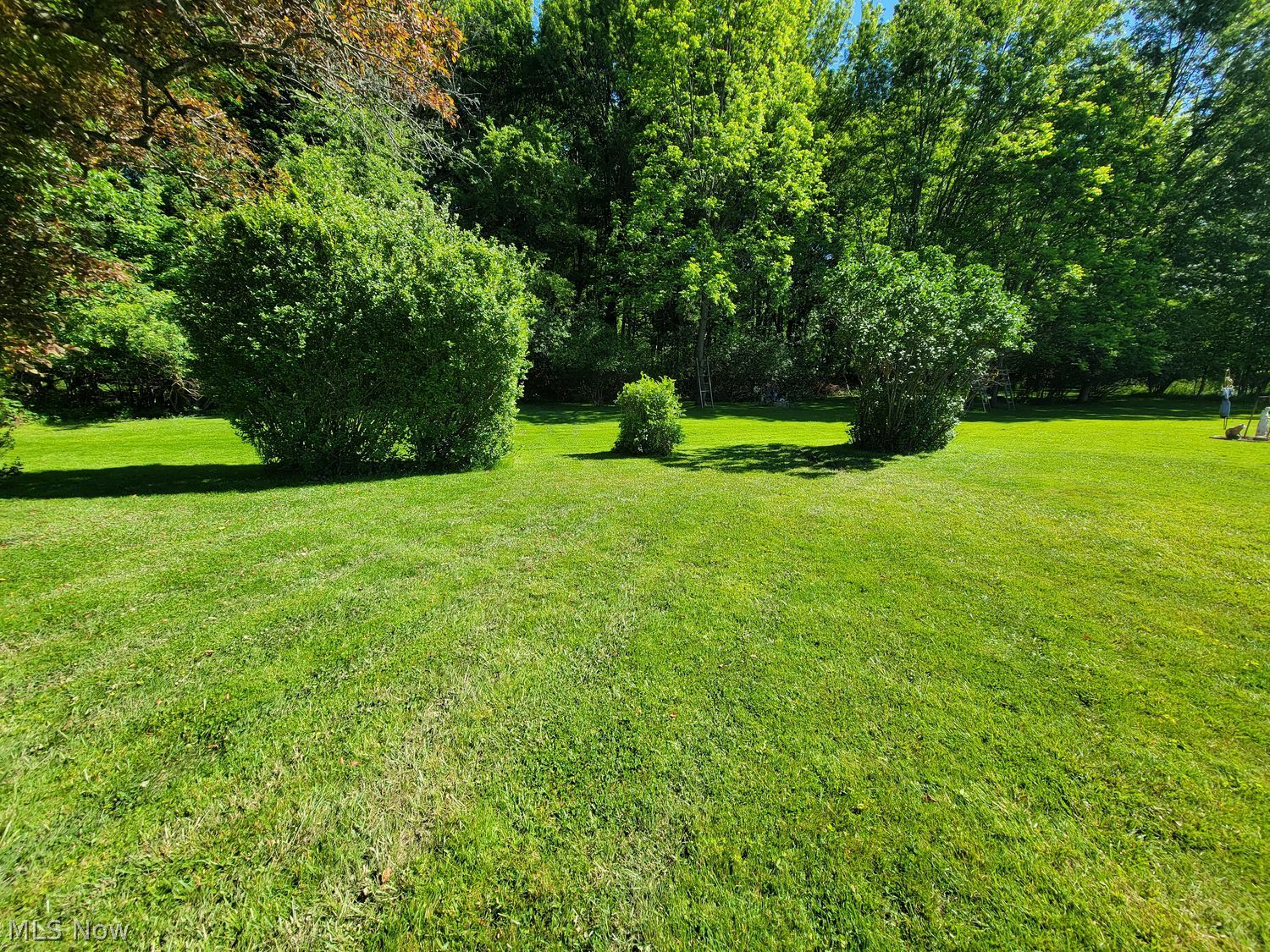 880 Afton Avenue Youngstown OH 44512