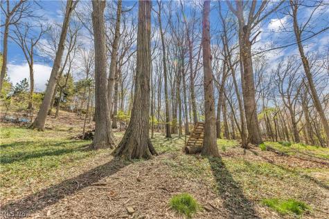 4519 W Ridgewood Drive Parma OH 44134