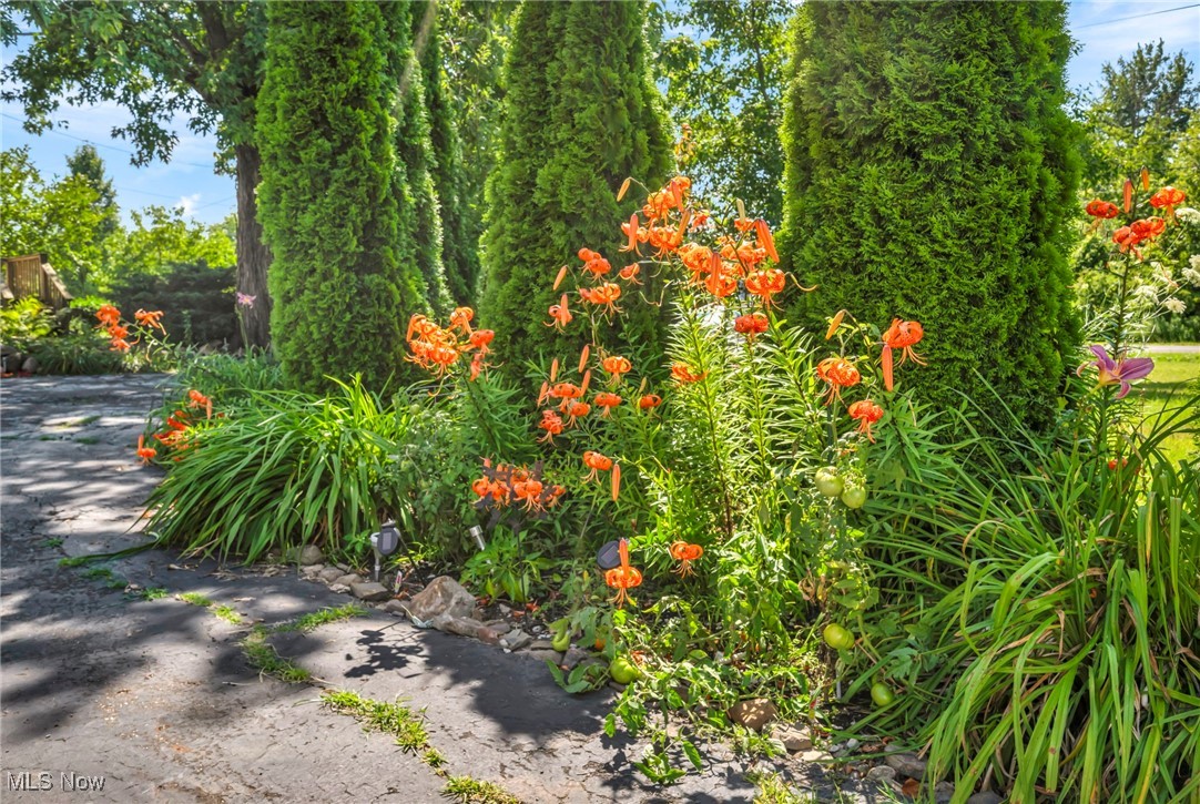 3764 Padanarum Road Geneva OH 44041