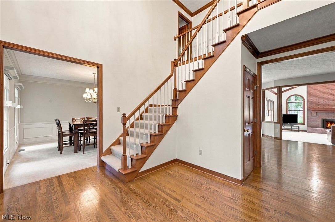 767 Sunridge Road Fairlawn OH 44333