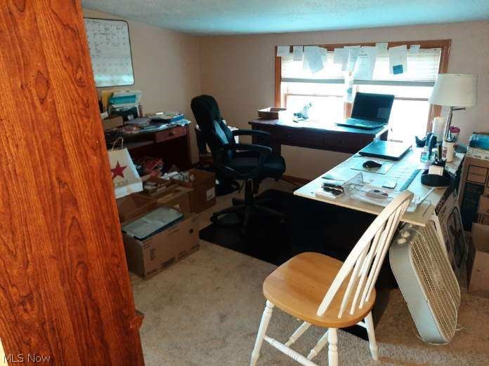 66177 Wintergreen Road Lore City OH 43755