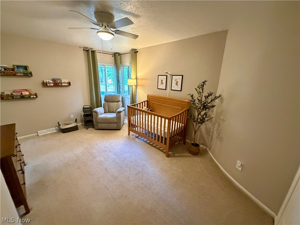 27831 Blossom Boulevard North Olmsted OH 44070