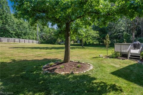 4325 Larchwood Circle NW Canton OH 44718