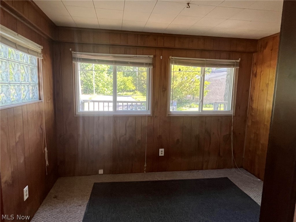 363 Spring Street Struthers OH 44471