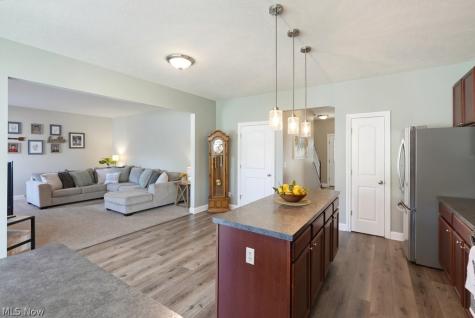 882 Queens Gate Way Wadsworth OH 44281