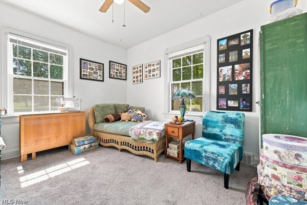 4038 Sunset Boulevard Boardman OH 44512