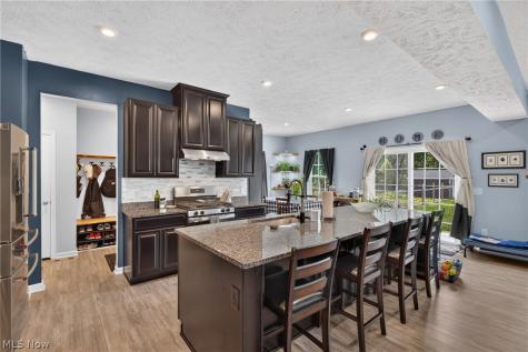 1132 Keenan Court Grafton OH 44044