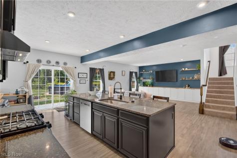 1132 Keenan Court Grafton OH 44044