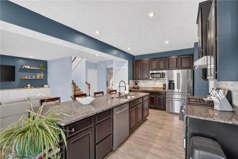1132 Keenan Court Grafton OH 44044