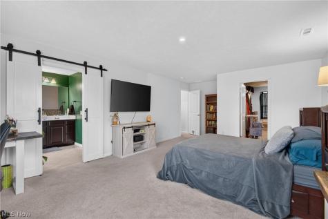 1132 Keenan Court Grafton OH 44044