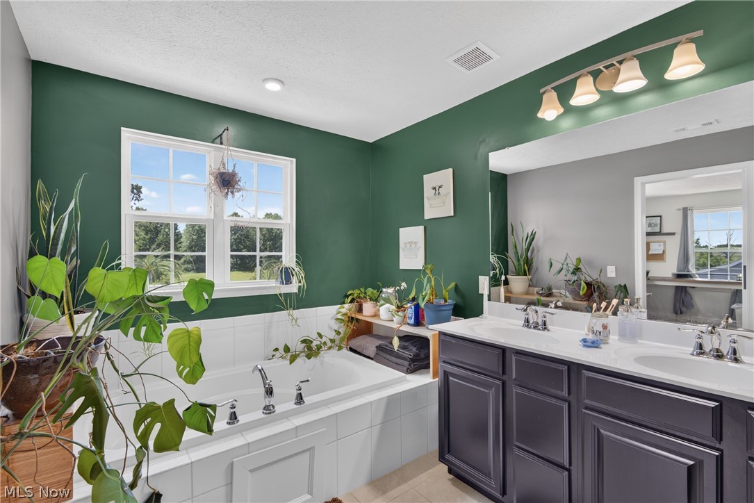 1132 Keenan Court Grafton OH 44044