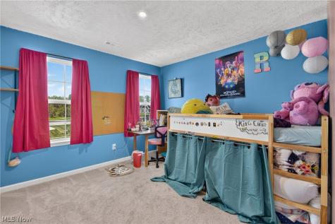 1132 Keenan Court Grafton OH 44044