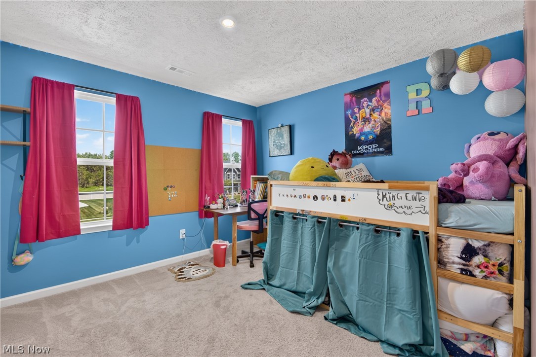 1132 Keenan Court Grafton OH 44044