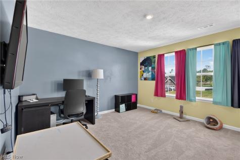 1132 Keenan Court Grafton OH 44044