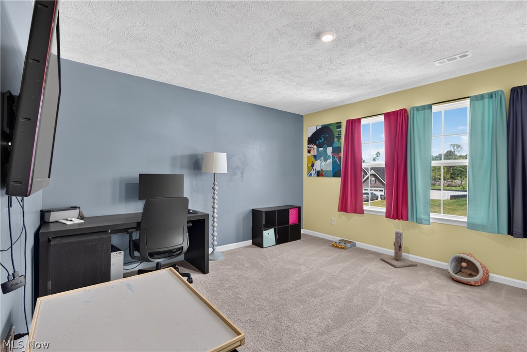 1132 Keenan Court Grafton OH 44044