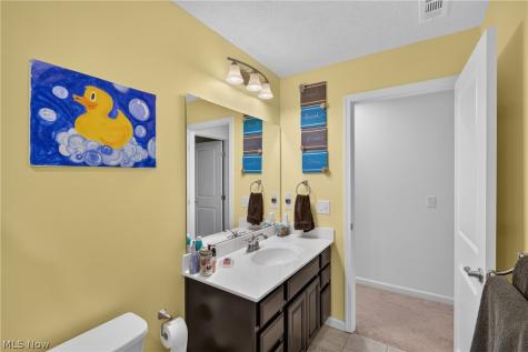1132 Keenan Court Grafton OH 44044