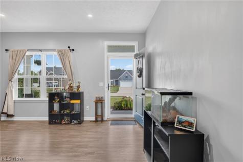 1132 Keenan Court Grafton OH 44044