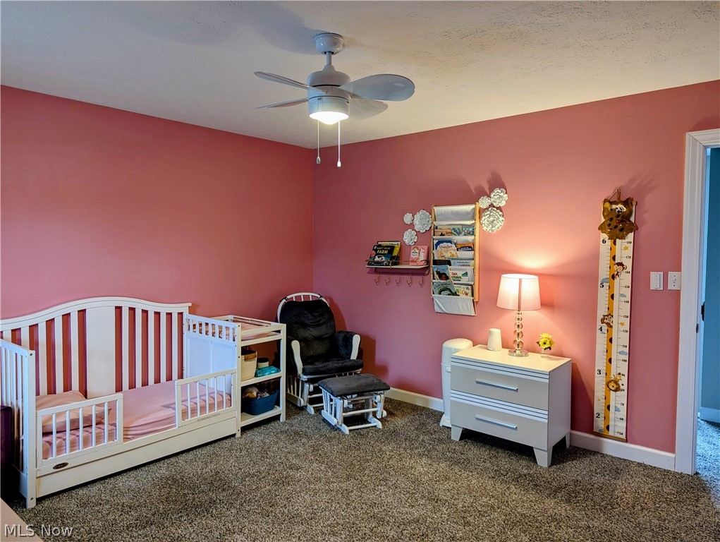 938 Florence Drive Macedonia OH 44056