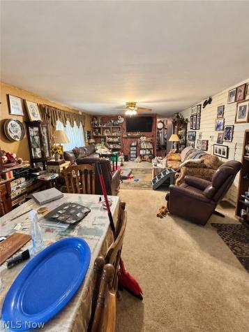 124 N Pleasant Avenue Niles OH 44446