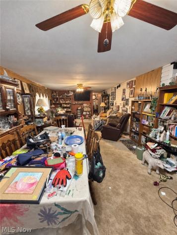 124 N Pleasant Avenue Niles OH 44446