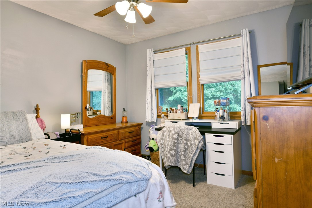 3750 Oakview Drive Girard OH 44420