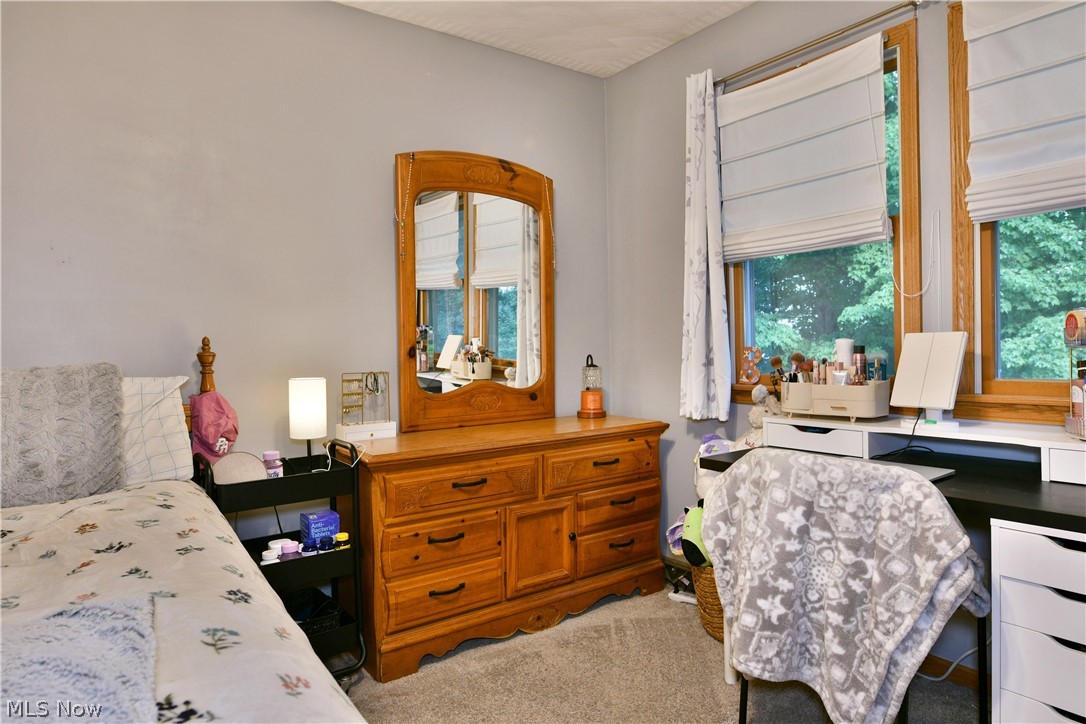3750 Oakview Drive Girard OH 44420