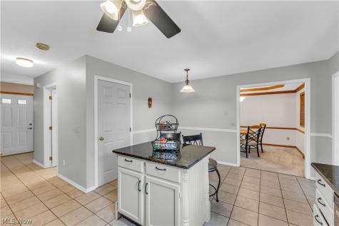 5181 Hanover Drive Medina OH 44256