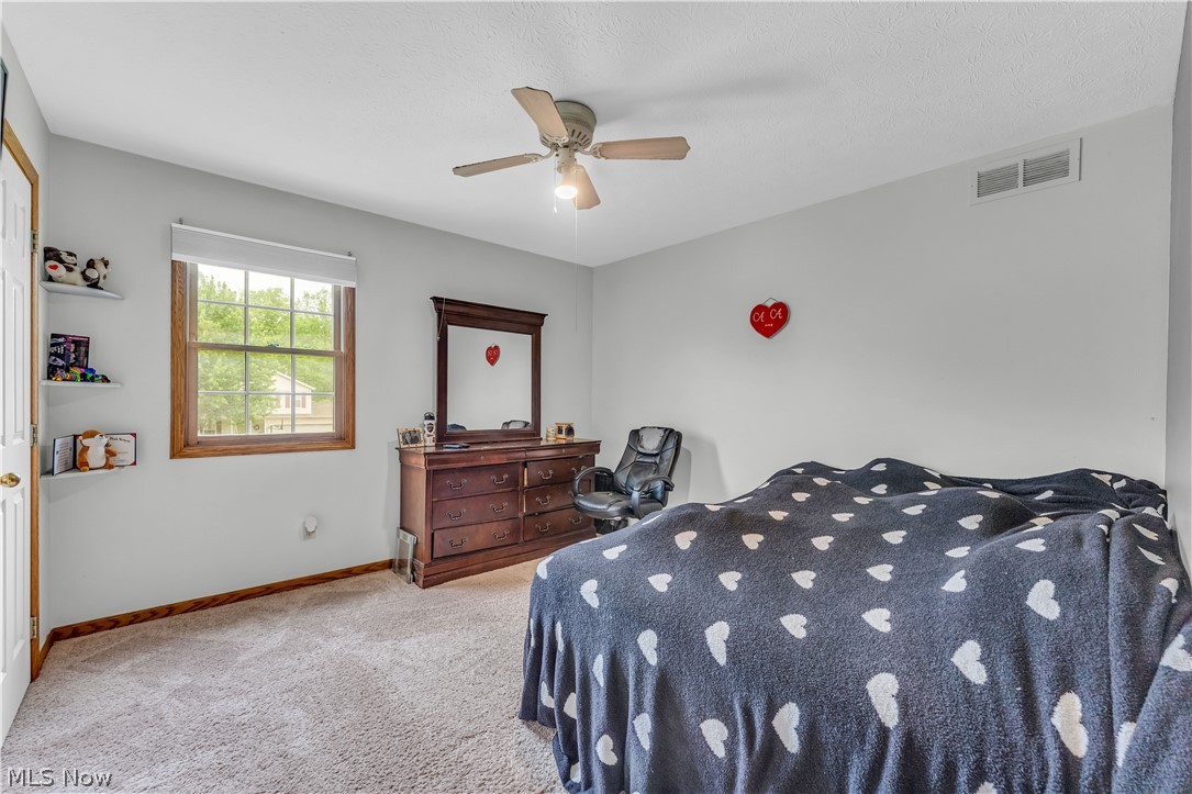5181 Hanover Drive Medina OH 44256