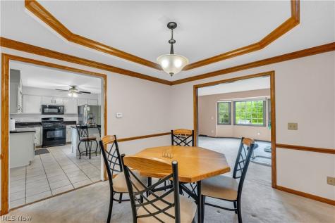 5181 Hanover Drive Medina OH 44256