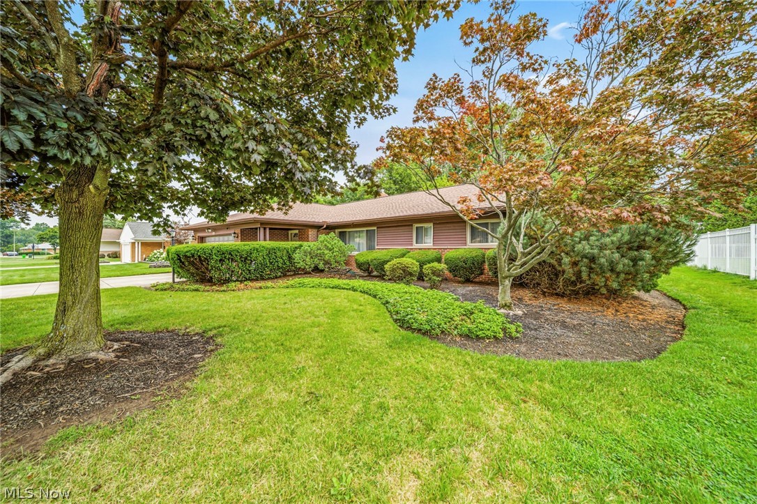 871 Cranbrook Drive Highland Heights OH 44143