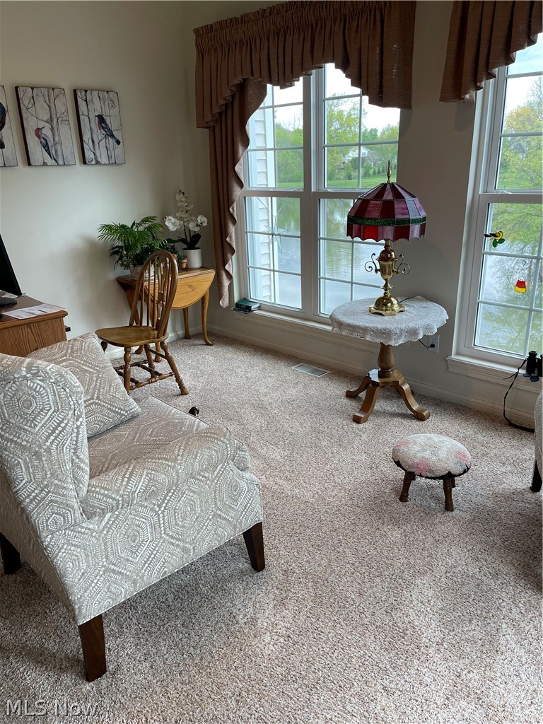 8471 Waterside Drive Sagamore Hills OH 44067