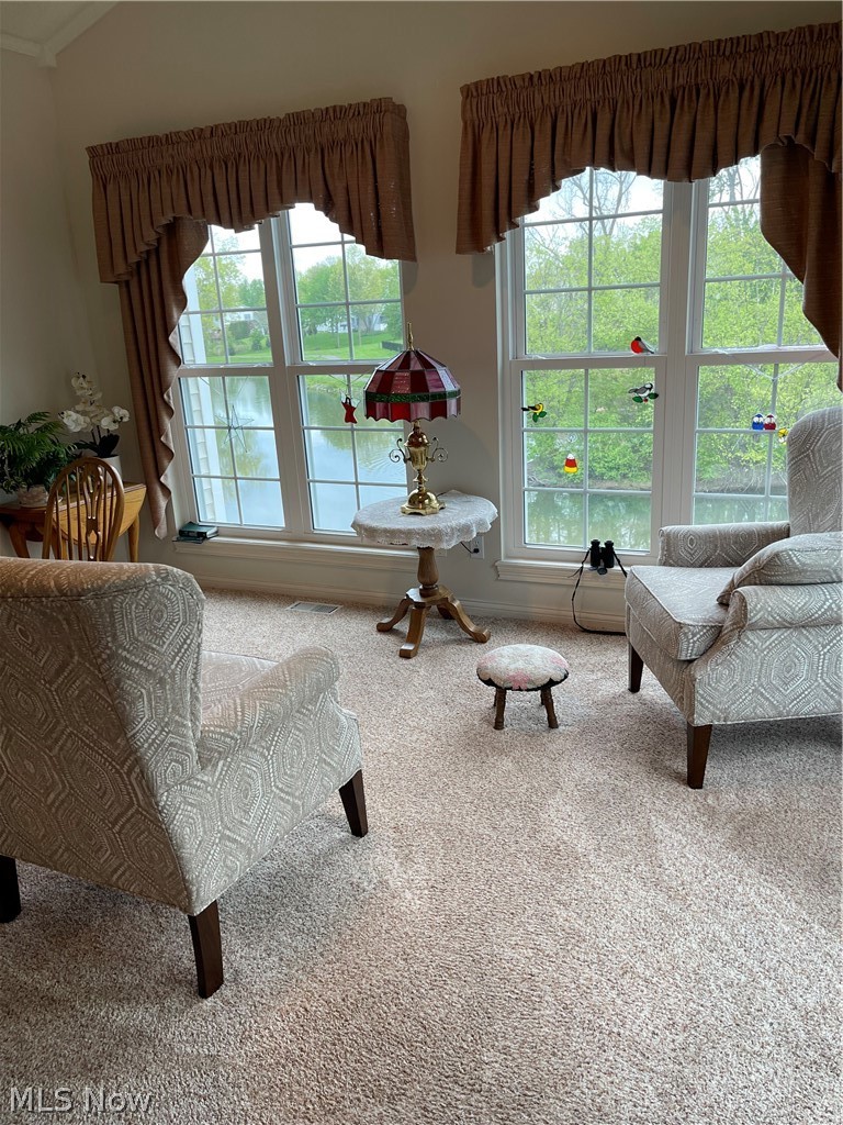 8471 Waterside Drive Sagamore Hills OH 44067