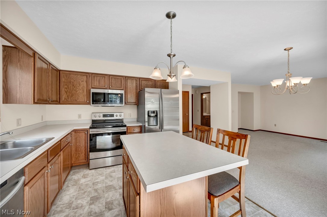 450 Charleton Drive Medina OH 44256
