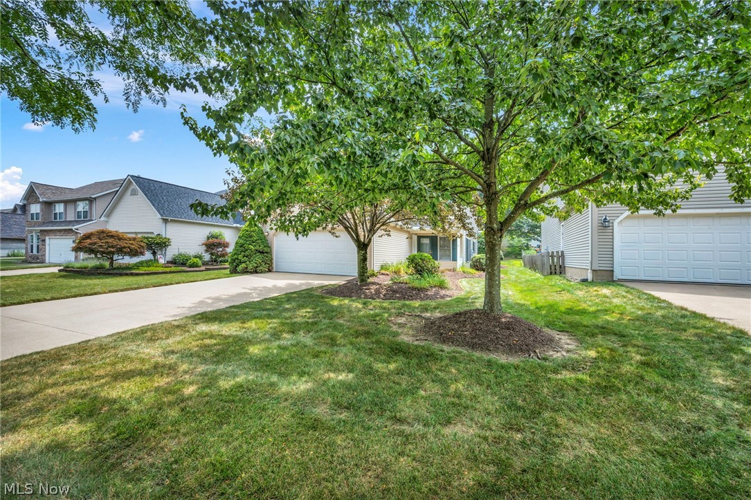450 Charleton Drive Medina OH 44256