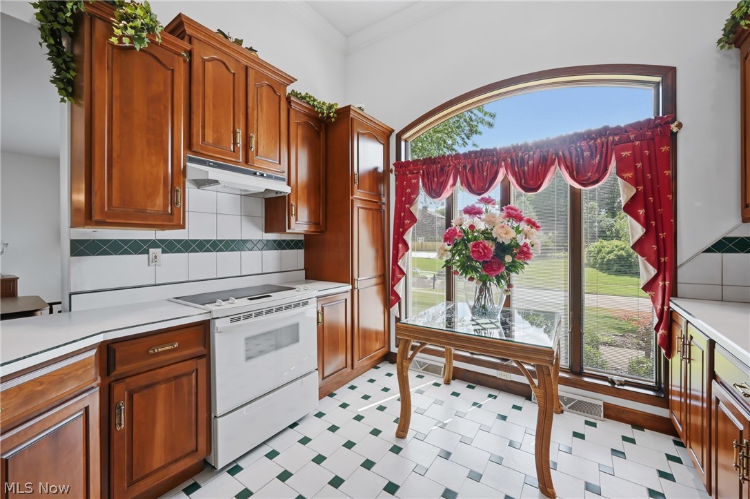 115 Lakhani Lane Canfield OH 44406