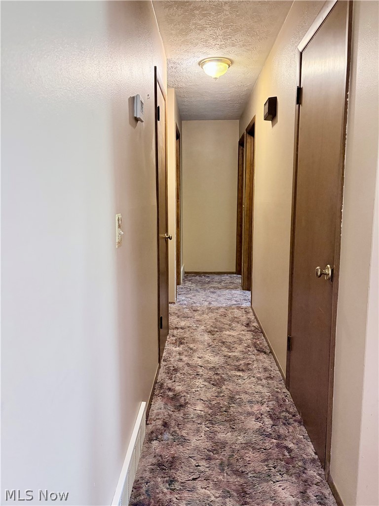 4191 Custer Orangeville Road NE Burghill OH 44404