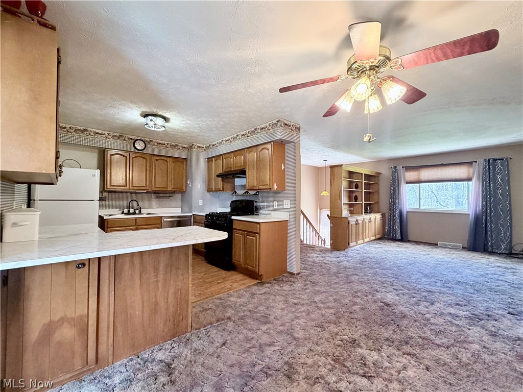 4191 Custer Orangeville Road NE Burghill OH 44404