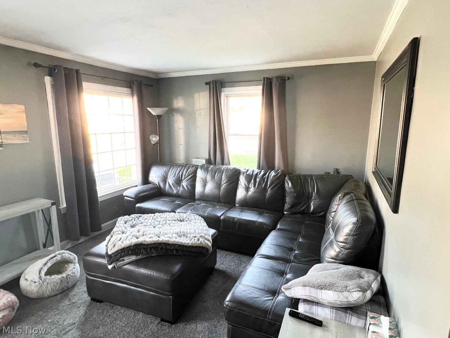 541 Cambridge Avenue Elyria OH 44035