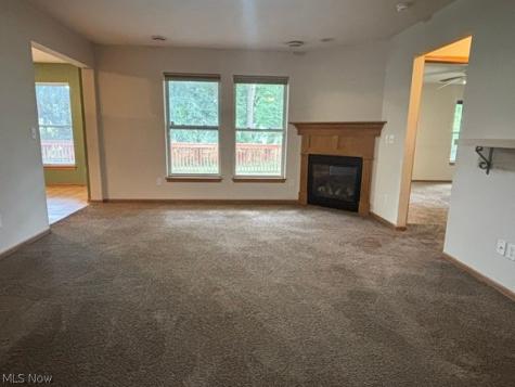 1794 Wakefield Drive Akron OH 44320