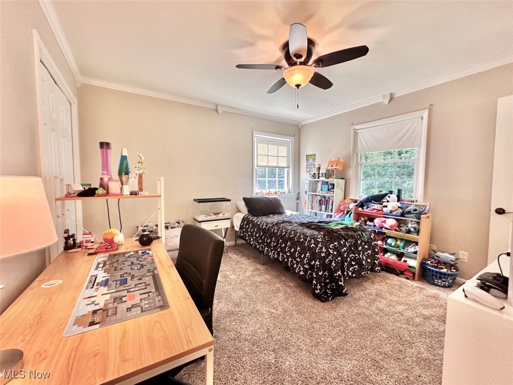 8528 Deer Creek Lane NE Warren OH 44484