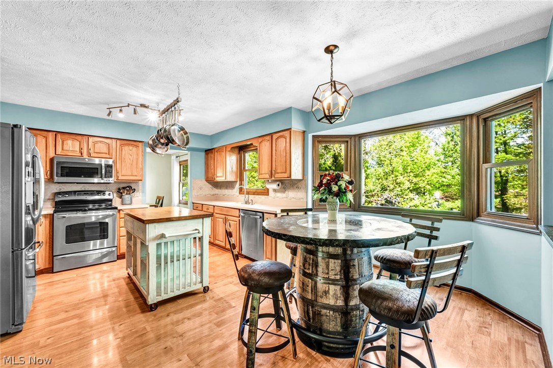 9533 Catalpa Circle Mentor OH 44060