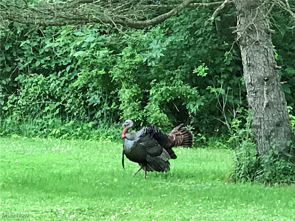 19322 E River Road Columbia Station OH 44028