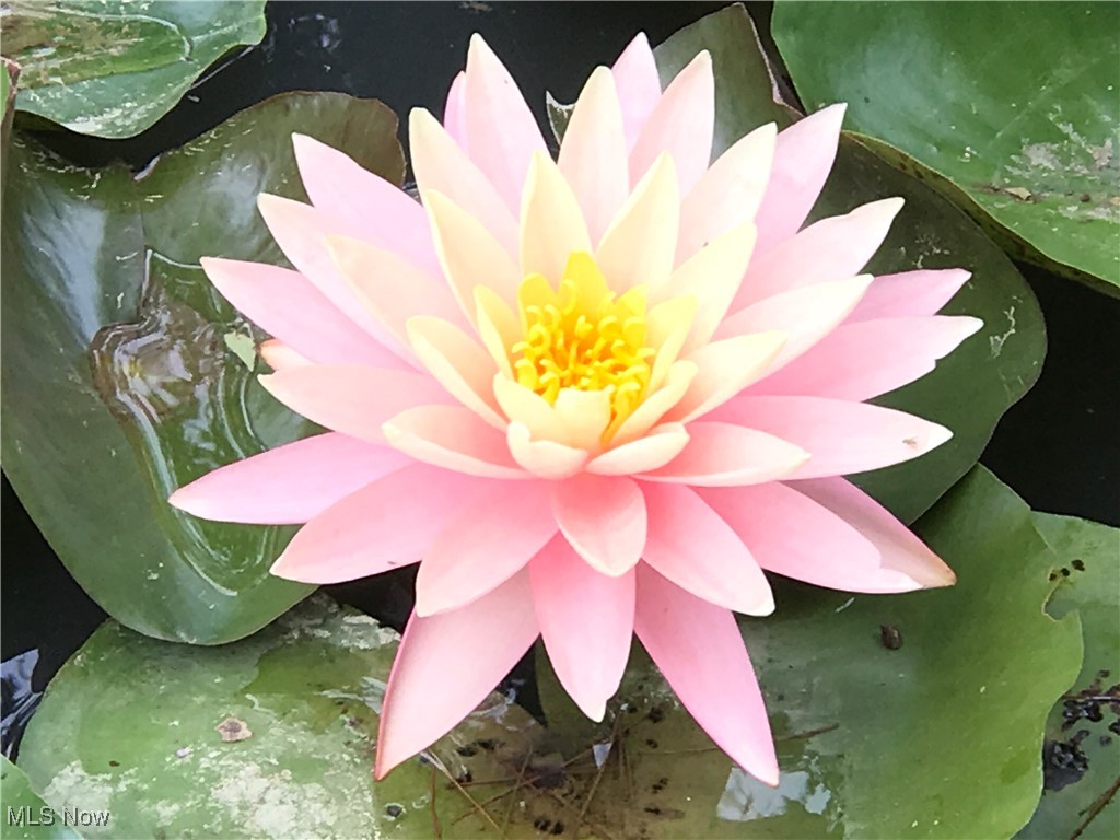 19322 E River Road Columbia Station OH 44028