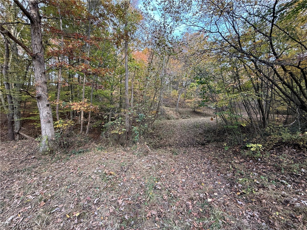 9990 Shannon Road Frazeysburg OH 43822