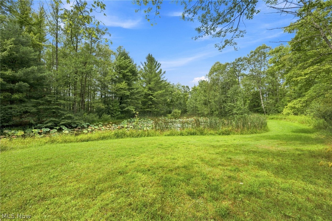 8995 Knotty Pine Lane Chardon OH 44024