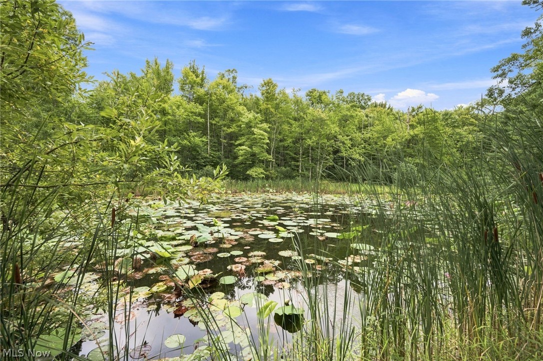 8995 Knotty Pine Lane Chardon OH 44024