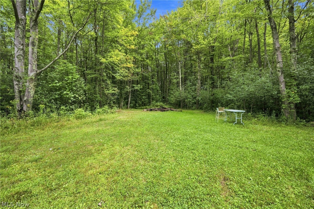 8995 Knotty Pine Lane Chardon OH 44024