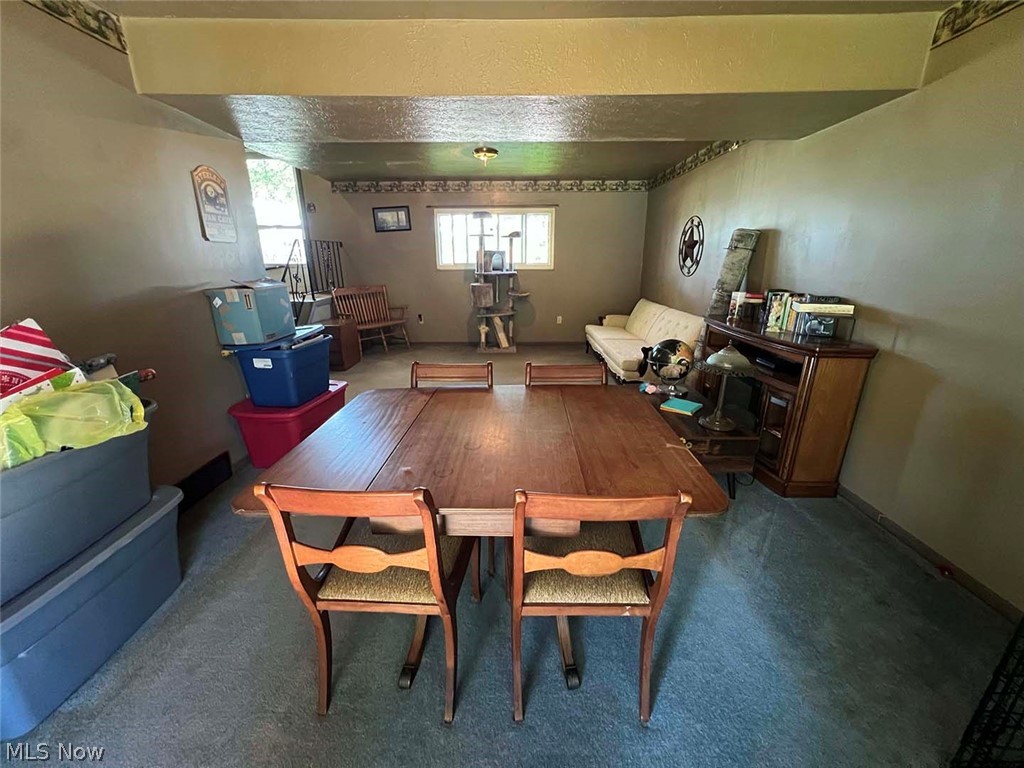 4060 Tudor Avenue Brunswick OH 44212